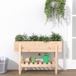 Lit surélevé de jardin 101x30x69 cm bois de pin massif 