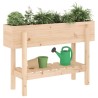 Lit surélevé de jardin 101x30x69 cm bois de pin massif 