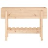 Lit surélevé de jardin 101x30x69 cm bois de pin massif 