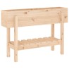 Lit surélevé de jardin 101x30x69 cm bois de pin massif 
