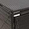 Abri pour poubelle double Noir 140x80x117 cm Résine tressée 