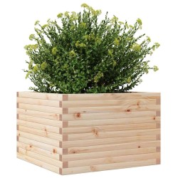 Jardinière 70x70x46 cm bois de pin massif 