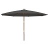 Parasol de jardin avec mât en bois anthracite 400x273 cm 