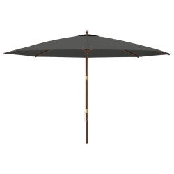 Parasol de jardin avec mât en bois anthracite 400x273 cm 