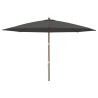 Parasol de jardin avec mât en bois anthracite 400x273 cm 