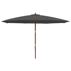 Parasol de jardin avec mât en bois anthracite 400x273 cm 