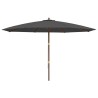 Parasol de jardin avec mât en bois anthracite 400x273 cm 