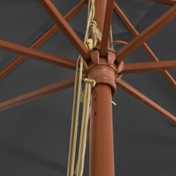 Parasol de jardin avec mât en bois anthracite 400x273 cm 