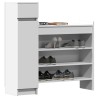 Armoire à chaussures blanc 100,5x28x100 cm bois d'ingénierie 