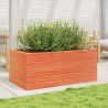 Jardinière cire marron 110x60x45,5 cm bois de pin massif 