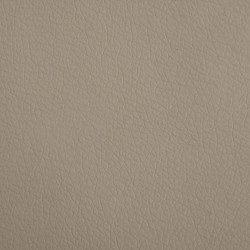 Lit pour chien cappuccino 90x53x30 cm similicuir 