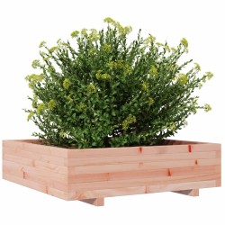 Jardinière 90x90x26,5 cm bois massif douglas 