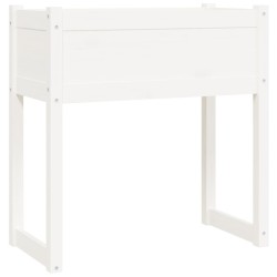 Jardinière Blanc 78x40x81 cm Bois massif de pin 