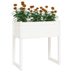 Jardinière Blanc 78x40x81 cm Bois massif de pin 