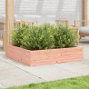 Jardinière 100x100x23 cm bois massif de douglas 