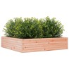 Jardinière 100x100x23 cm bois massif de douglas 