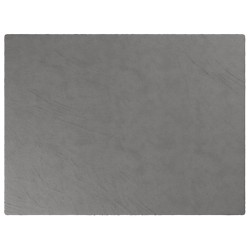 Couverture lestée avec housse Gris 150x200 cm 7 kg Tissu 