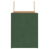 Sacs en papier 250 pcs avec poignées vert 32x22x28 cm 