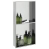 Niche de douche argenté brossé 32x62x9 cm acier inoxydable 