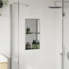 Niche de douche argenté brossé 32x62x9 cm acier inoxydable 