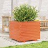 Jardinière cire marron 60x60x49,5 cm bois de pin massif 