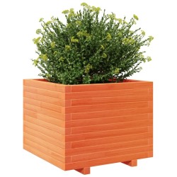 Jardinière cire marron 60x60x49,5 cm bois de pin massif 
