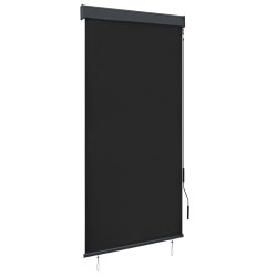 Store roulant d'extérieur 100 x 250 cm Anthracite 