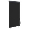 Store roulant d'extérieur 100 x 250 cm Anthracite 