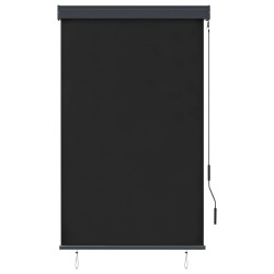 Store roulant d'extérieur 100 x 250 cm Anthracite 