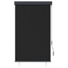 Store roulant d'extérieur 100 x 250 cm Anthracite 