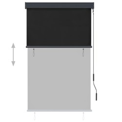 Store roulant d'extérieur 100 x 250 cm Anthracite 