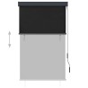 Store roulant d'extérieur 100 x 250 cm Anthracite 