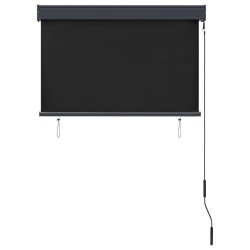 Store roulant d'extérieur 100 x 250 cm Anthracite 