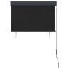 Store roulant d'extérieur 100 x 250 cm Anthracite 