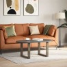 Pieds de table basse en U, 2 pièces, acier naturel, 50 x (42-43) cm 