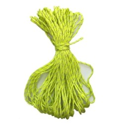 Corde de coulée pour tente en paracorde, auvent de camping, 20m, 3mm