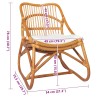 Chaise en rotin Marron clair Lin  