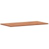 Comptoir de salle de bain 100x50x1,5 cm bois massif de hêtre 