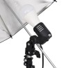 Kit de studio photo avec éclairage et toile de fond 