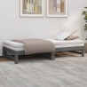 Lit coulissant sans matelas gris 2x(90x190) cm 
