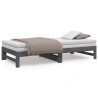 Lit coulissant sans matelas gris 2x(90x190) cm 