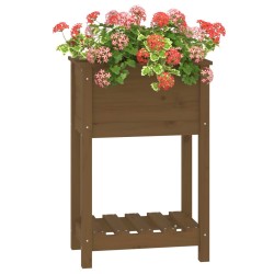Jardinière avec étagère Marron miel 54x34,5x81 cm Bois de pin 
