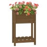 Jardinière avec étagère Marron miel 54x34,5x81 cm Bois de pin 
