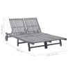 Chaise longue de jardin 2 places avec coussin Gris Acacia 