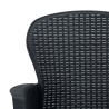 Chaises de jardin lot de 2 avec coussin Anthracite Plastique 