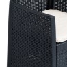 Chaises de jardin lot de 2 avec coussin Anthracite Plastique 