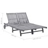 Chaise longue de jardin 2 places avec coussin Gris Acacia 