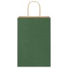 Sacs en papier 250 pcs avec poignées vert 21x11x31 cm 