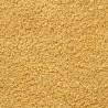 Serviettes de sauna de qualité supérieure SOLUND 10 pcs doré 