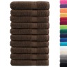 Serviettes de sauna de qualité supérieure SOLUND 10 pcs marron 